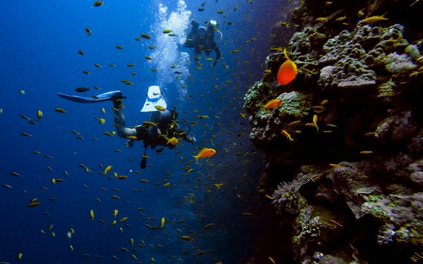 Comment organiser une expédition de snorkeling dans les grottes sous-marines de Gozo, Malte : équipements et sécurité ?